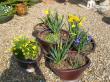 Poterie de jardin