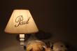Lampes avec abat-jour personnalisées pour cadeaux ou événements: naissances, anniversaires, mariages...
