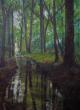 après la pluie sous-bois 
huile sur toile 50x70 cm
400€