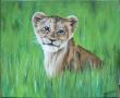 lionceau