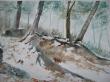 forêt l'hiver 46x61 cm 
aquarelle