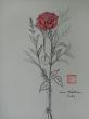 Rose rouge sur fond blanc
Technique: encre de chine rehaussée d'aquarelle sur papier
Décembre 2020
 Prix:450 euros
 Droits de reproduction réservés 