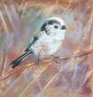 pastel sec sur papier spécifique pour le pastel. 20*20cm , tableau fini 30*30 cm
mesange longue queue ou Orite