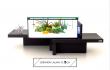 Table basse aquarium EQUILIBRE