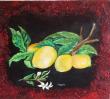 Citrons - huile sur toile 