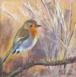 pastel sec sur papier spécifique pour le pastel. 20*20cm , tableau fini 30*30 cm
Rouge Gorge 