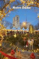 Actualité de Nina Petithalgatte L'Art et la Seine Marché de Noël de Paris Notre Dame