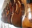 VIOLONS
