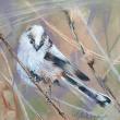 pastel sec sur papier spécifique pour le pastel. 20*20cm , tableau fini 30*30 cm
Mésange longue queue ou Orite furtive