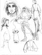 croquis