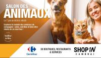 Nos animaux  , ASSOCIATION  De rêve  Association souffleur de rêve