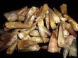 Fossiles de dinosaures : Un voyage à travers le temps
La formation des Kem Kem Beds entre le Maroc et l’Algérie dans le sud-est du Maroc est un site archéologique bien connu. Un berger dans le petit village désertique de Hassi Begaa a trouvé des os de poisson en 1991. Cela a entraîné un intérêt accru pour la région et a abouti à la découverte de nombreux os de dinosaure et même d’empreintes.