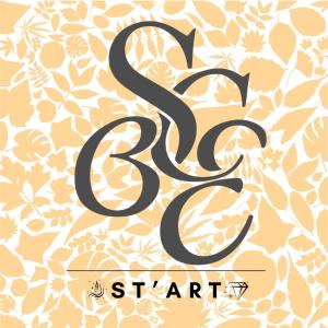 Logo de sandra turcan ST'ART