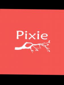 Logo de Jessica LENGELÉE Pixie cuir