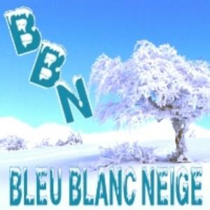 Logo de BleuBlancNeige tricot-faitmain Bleu-blanc-neige