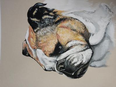 Logo de Jean sylvain  Alberti  art graphique