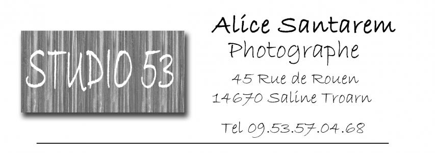 Logo de Alice Santarem Studio 53