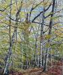 HUILE SUR TOILE : LES BOULEAUX