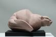 Castor, Terre cuite, L 30 x l 28 x H 14 cm