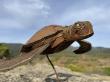 Tortue d’ OU
1m20
3400 €