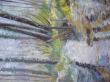 Escambouille 

40x50 cm
huile sur toile 
300€