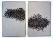 nids 94x64cm X 2