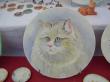 assiette chat