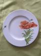 assiette plate coquelicot