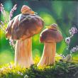 escargots sur champignons 