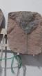 Crinoids d'erfoud