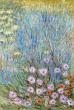 HUILE SUR TOILE : LA LAVANDE DU JARDIN 55X38