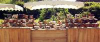 marché potier Allanche  Cantal  , Nicole et Bruno  Parret  Lénat  Lenat Nicole