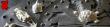 Coulage en centrifuge