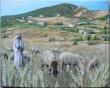 paysage de comstantine