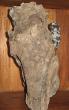 Petit duc, obsidienne neige, bois fossilisé