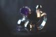 Seconde Nature - Bague eclosion