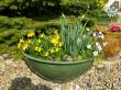 Poterie de jardin