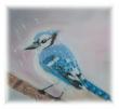 Tom, tombe la neige..........Pastel