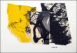 Collages sur papier 
Anne Zablot