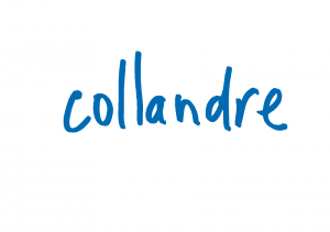 Logo de Françoise COLLANDRE COLLANDRE