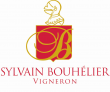 logo de Bouhelier Sylvain 