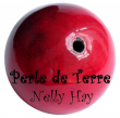 logo de Nelly Hay Perle de terre