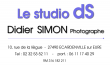logo de Didier SIMON Le STUDIO DS