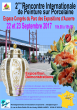 Salon International Peinture sur Porcelaine 