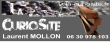 Logo de Laurent Mollon la curiosité
