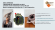 Anita Johnson- Formation Feutre en 2 parties