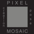 Logo de Louis Michel Cassini Pixel Mosaic