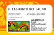 logo de calì andrea giovanni Il Fauno