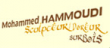 logo de HAMMOUDI MOHAMMED