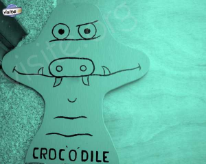 Logo de odile culié CROC-O-DILE